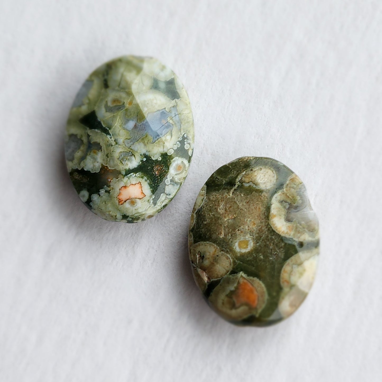 Rainforest Jasper Earrings