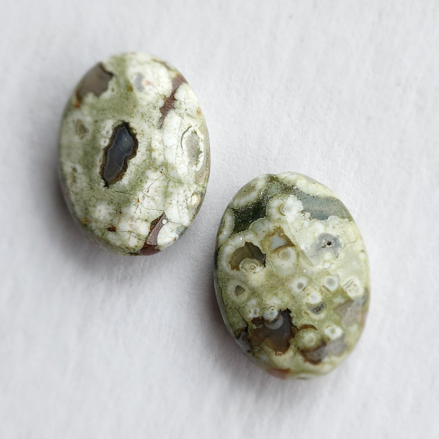 Rainforest Jasper Earrings