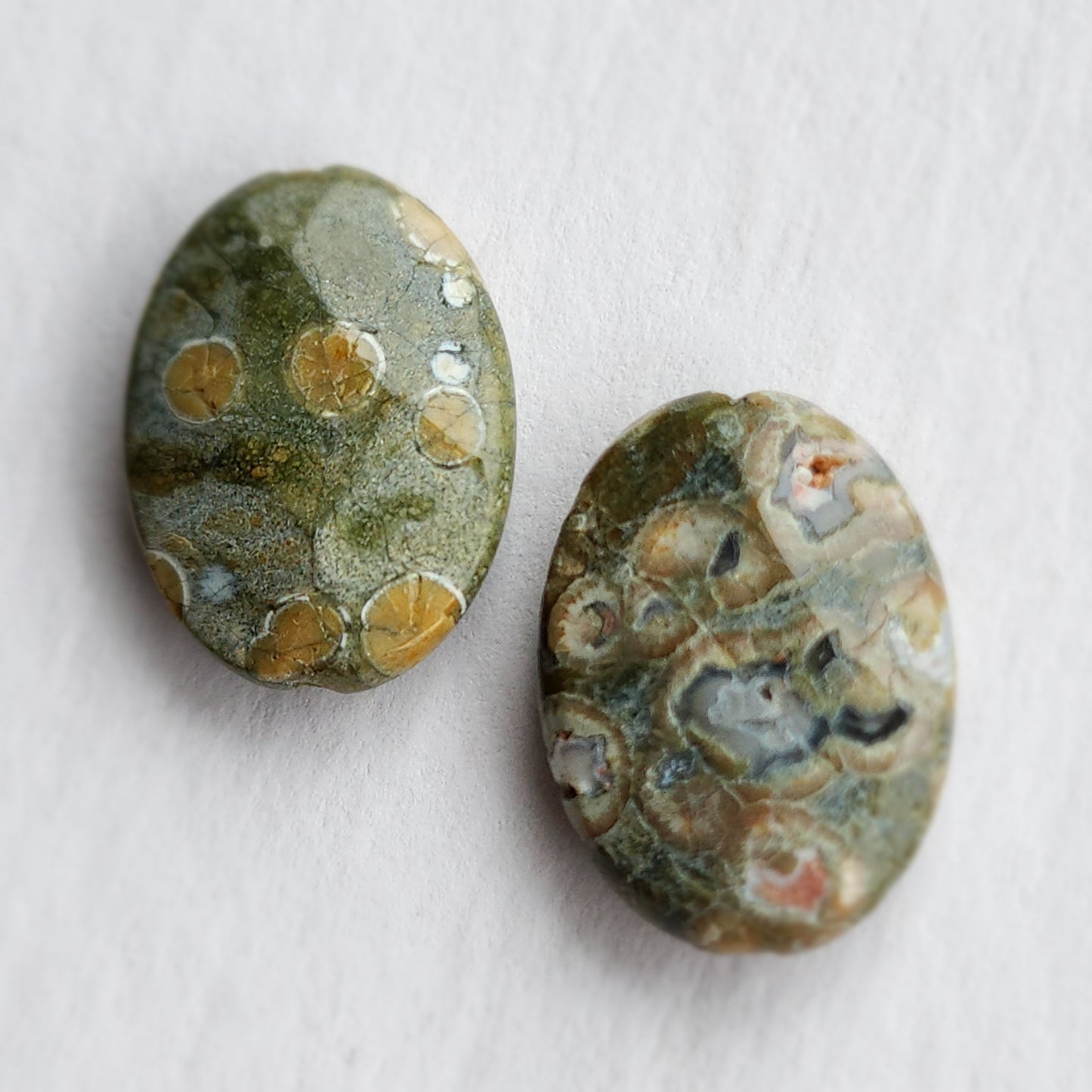 Rainforest Jasper Earrings