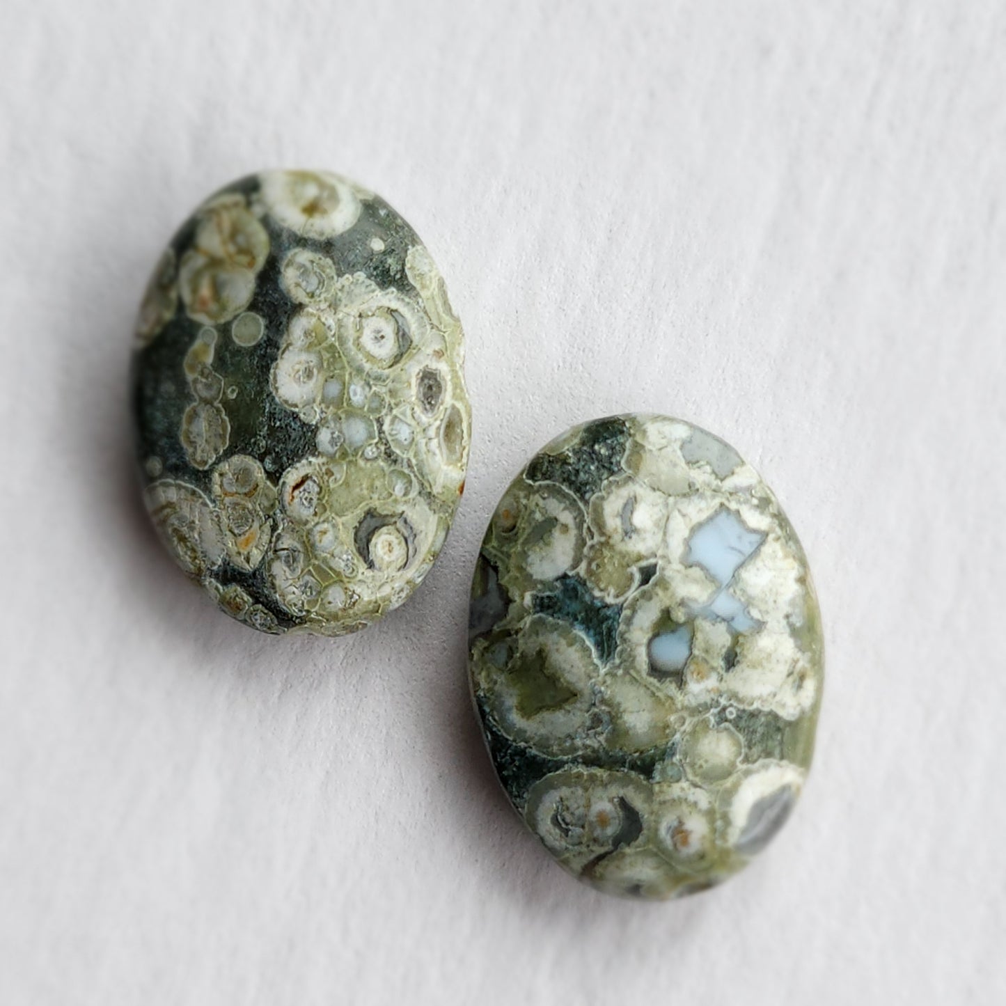 Rainforest Jasper Earrings